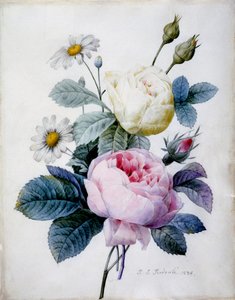 雏菊玫瑰花束，1834年出版（点画雕刻手工彩色）